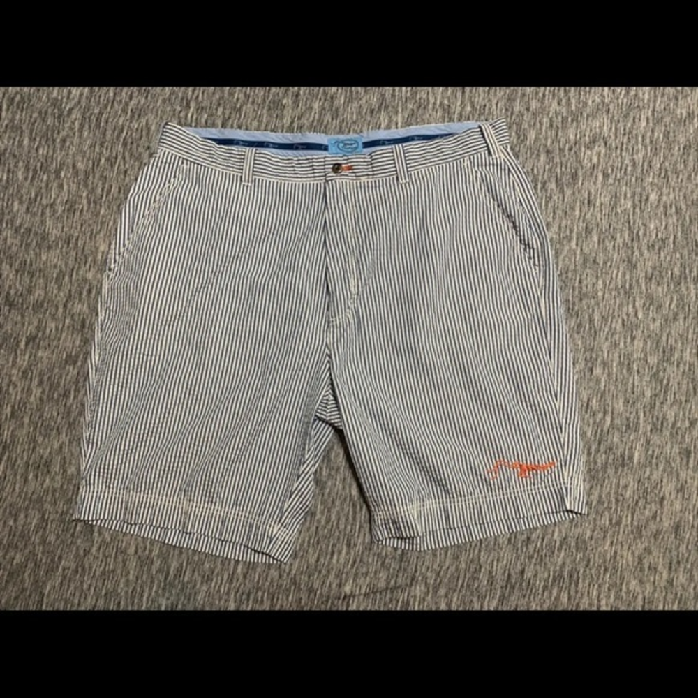 TRUE FLIES‎ Striped Light Blue Lightweight Shorts, Size 42